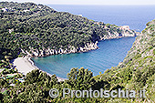 Ischia, il giro dell'isola lungo l'anello stradale 37