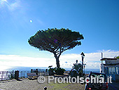 Il belvedere di Serrara Fontana 15