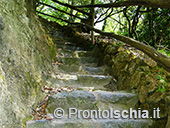 La Casa Museo di Serrara Fontana 18