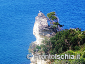 Spiaggia di Cava Grado 1