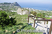 Ischia, Andar per sentieri 17