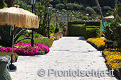 Hotel a Ischia vicino ai Giardini Poseidon 2