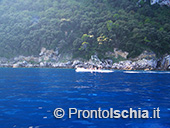 Capri, l'isola Azzurra 8