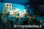 La magia del presepe sull'isola d'Ischia 10