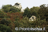 Escursioni a Ischia: dal Bosco della Maddalena a Sant'Angelo 36