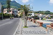 Ischia 100, granfondo di ciclismo dell'Isola Verde 2