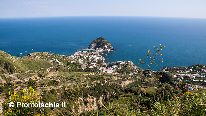 Le cose da vedere nel comune montano dell'isola d'Ischia