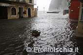 L'acqua alta a Ischia Ponte 8