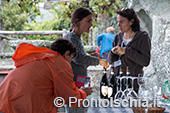 Ischia, Andar per Cantine: Frassitelli al tramonto 23