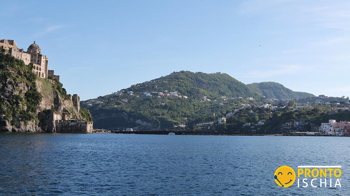 Dove si trova l'isola di Ischia?